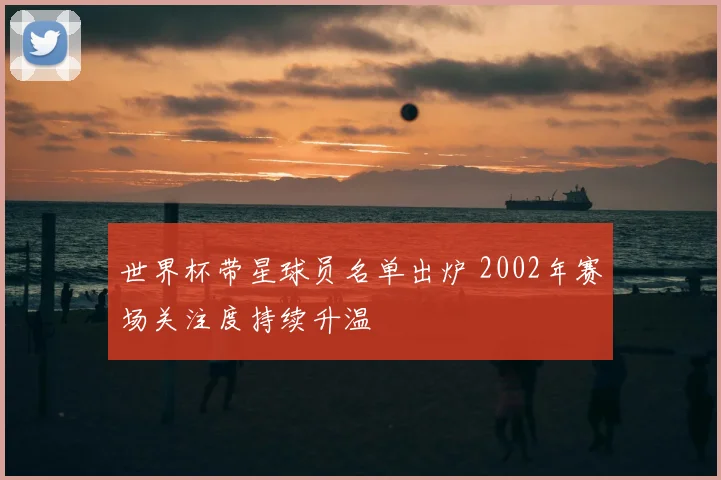 世界杯带星球员名单出炉 2002年赛场关注度持续升温