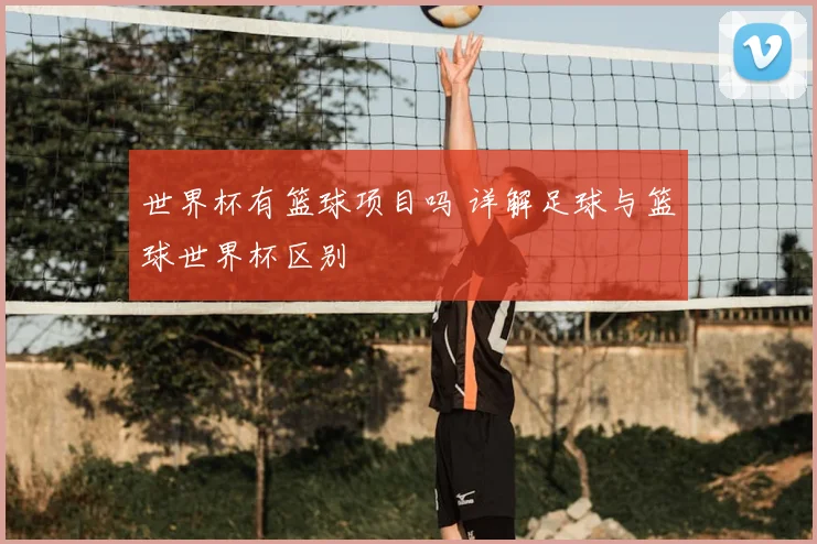 世界杯有篮球项目吗 详解足球与篮球世界杯区别