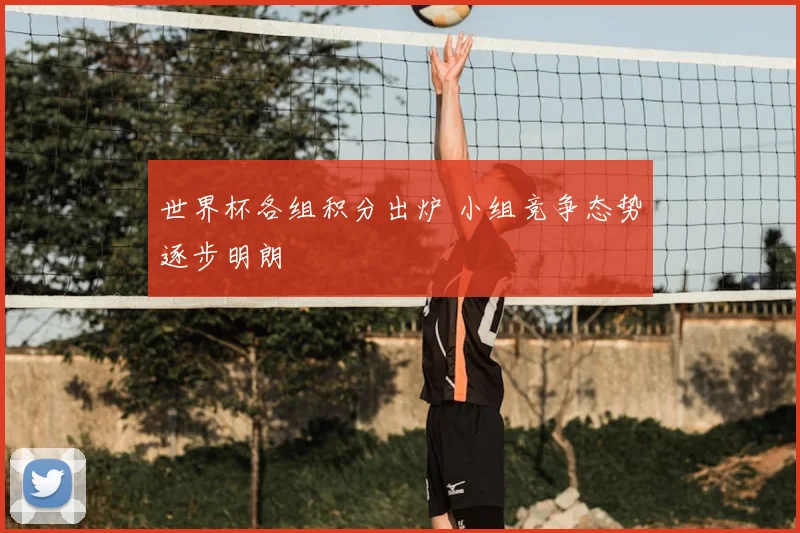 世界杯各组积分出炉 小组竞争态势逐步明朗