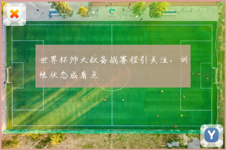 世界杯帅大叔备战赛程引关注,训练状态成看点